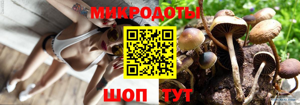 Зерноград  Псилоцибиновые грибы GOLDEN TEACHER  Псилоцибиновые грибы Psilocybe  Вход с VPN 